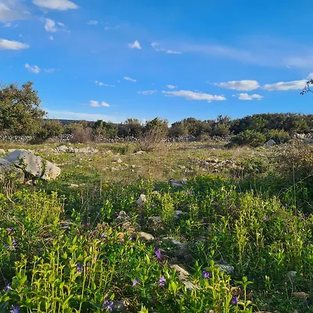 Tiny House Laurus - Stivan, Cres - 900 M To Merascica Apartment Štivan