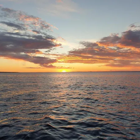 Tiny House Laurus - Stivan, Cres - 900 M To Merascica アパート