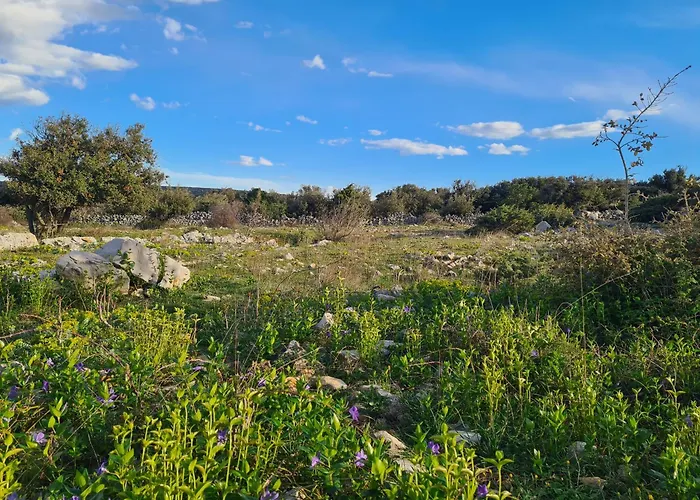 Tiny House Laurus - Stivan, Cres - 900 M To Merascica Apartament Štivan